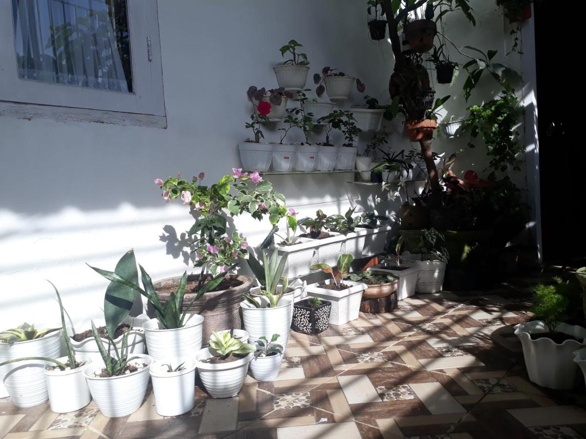 Bumimi Homestay Painan Eksteriør bilde