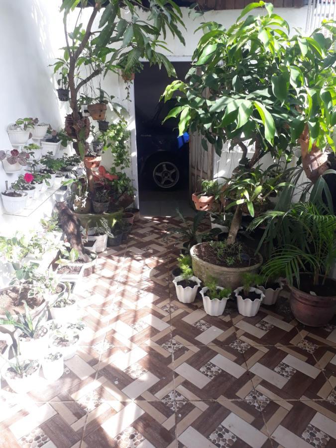 Bumimi Homestay Painan Eksteriør bilde